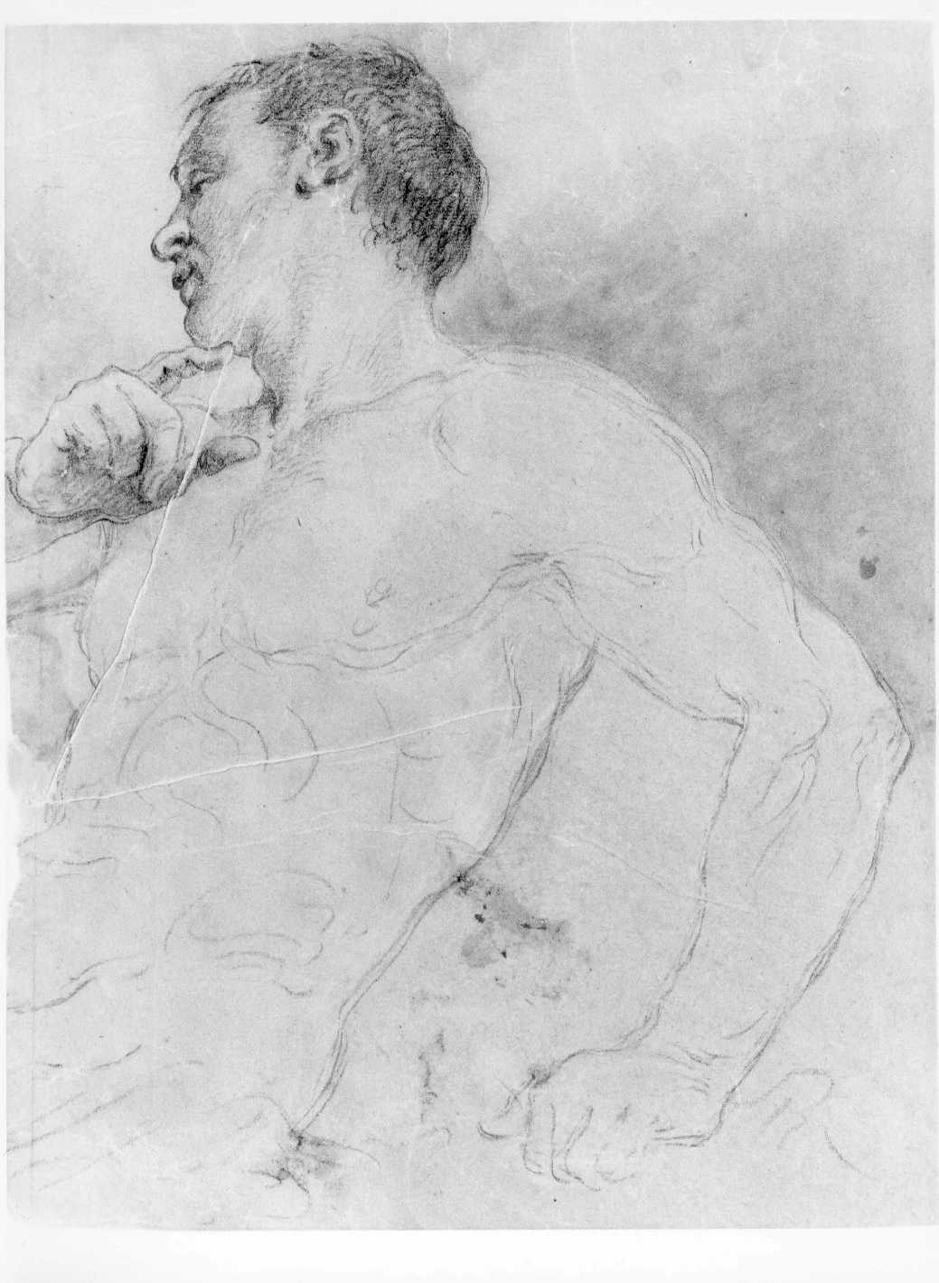 Giovane nudo - Museo Civico di Castelvecchio, Verona 2